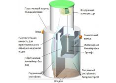 Биозон 150